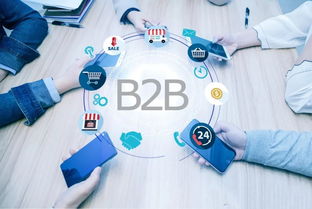 2018年美國(guó)B2B電商市場(chǎng)報(bào)告 食品加工通用設(shè)備行業(yè)深度解析