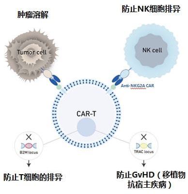 實體瘤CAR-T的破局者 科濟藥業李宗海談全球研發進展、海外布局與下一代技術